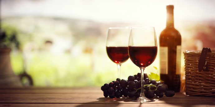 Wine tasting in the vinyard - Chianti Classico Antinori