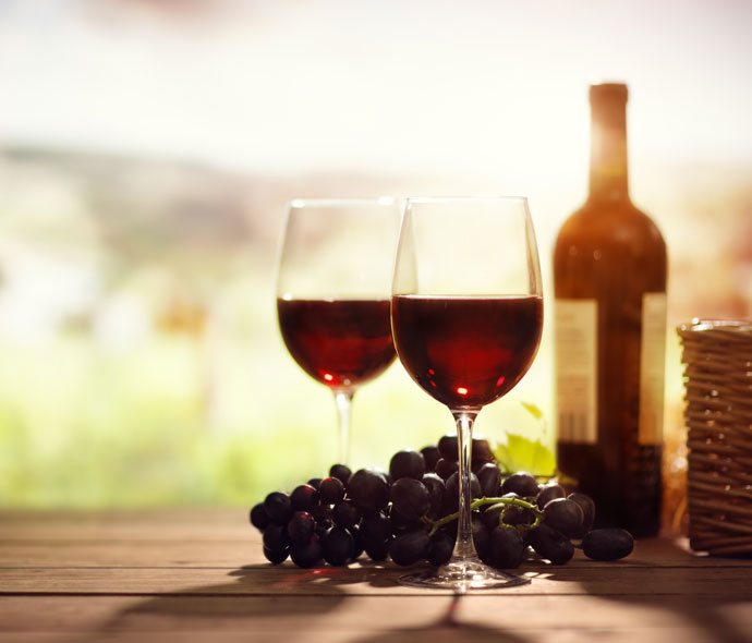 Wine tasting in the vinyard - Chianti Classico Antinori